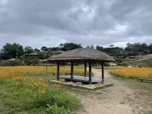 Walking through Yangdong Village, where time appears to stand still