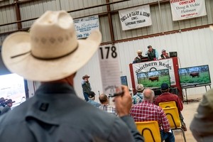 Trump accuses foreign-owned meat packers of inflating US beef prices