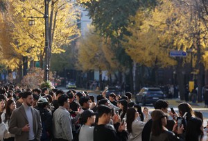 No. of highly educated youths under long-term unemployment hits 13-month high